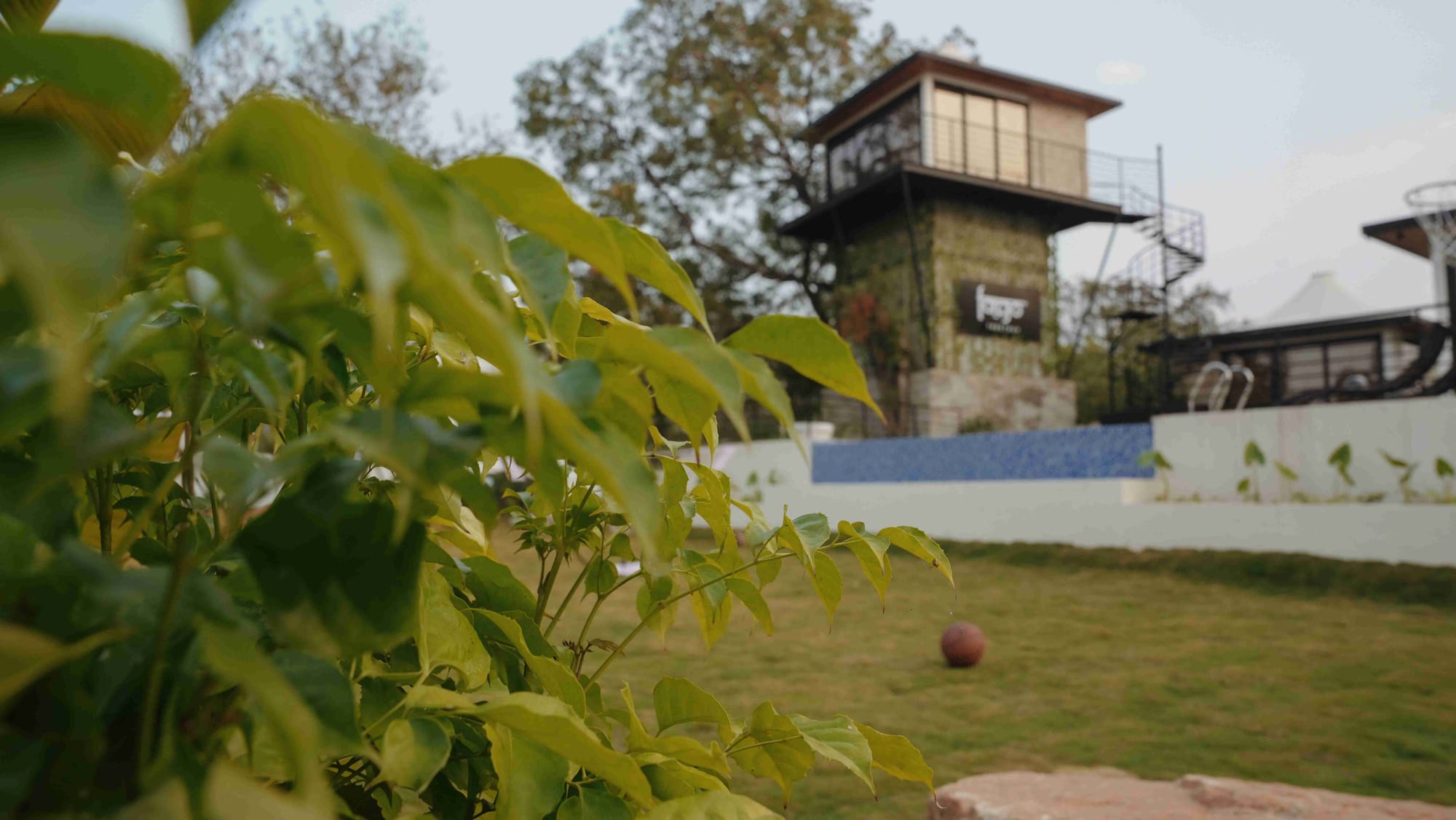 Treetrop, a Fargo Collective treehouse-inspired stay near Hyderabad
