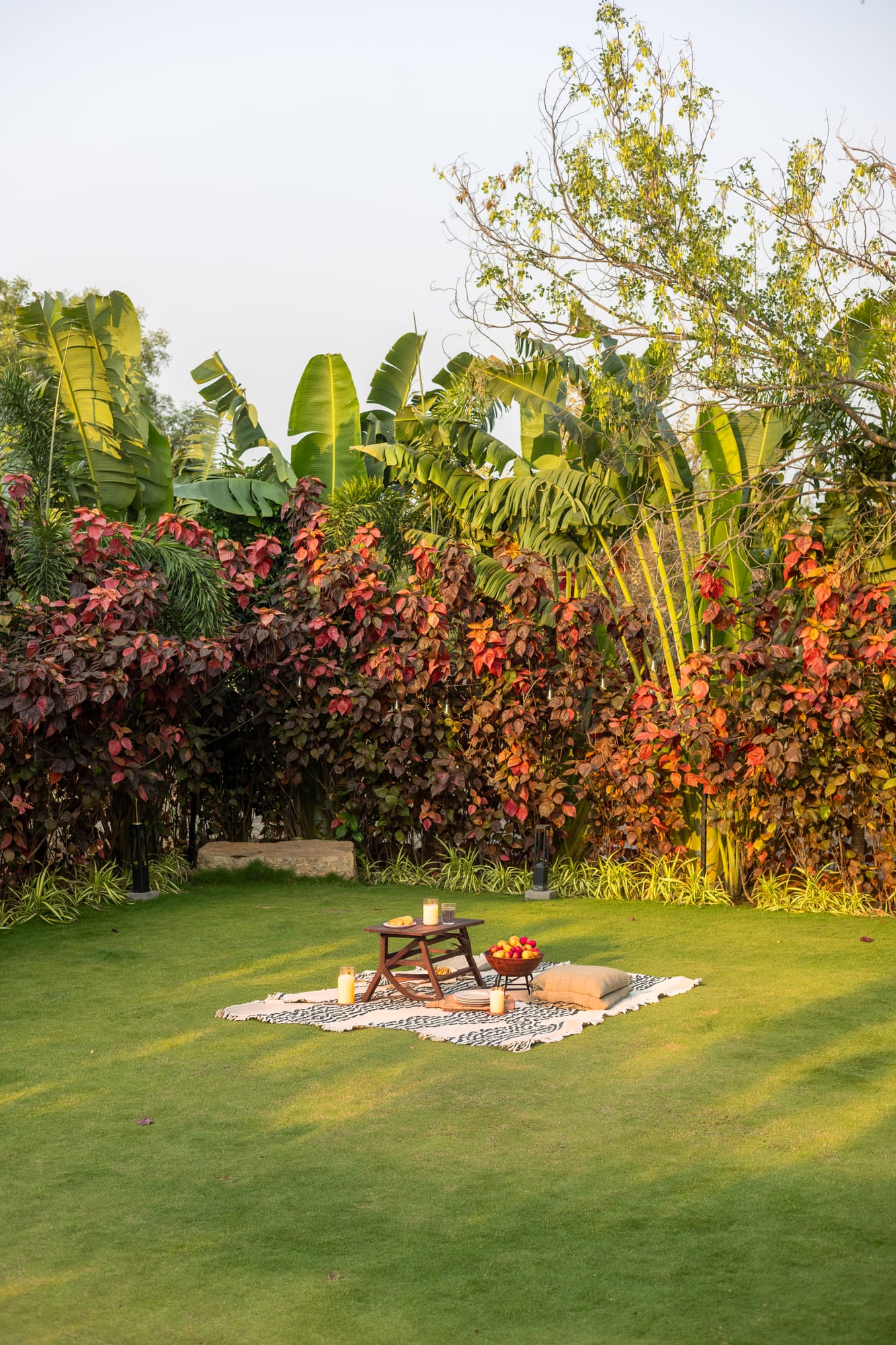 Treetrop, a Fargo Collective treehouse-inspired stay near Hyderabad