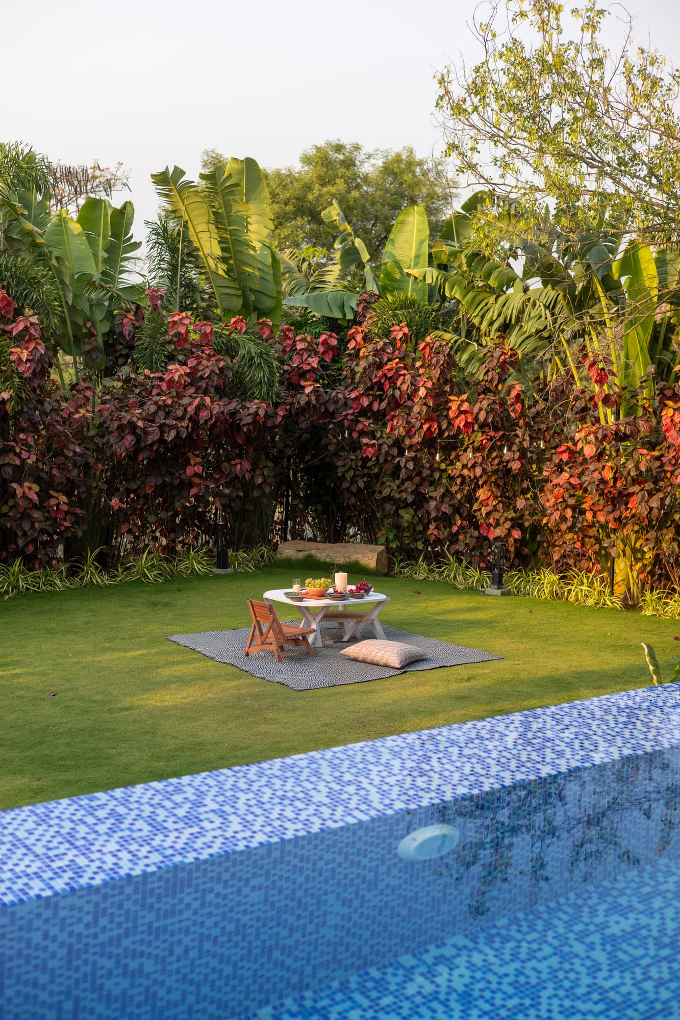 Treetrop, a Fargo Collective treehouse-inspired stay near Hyderabad