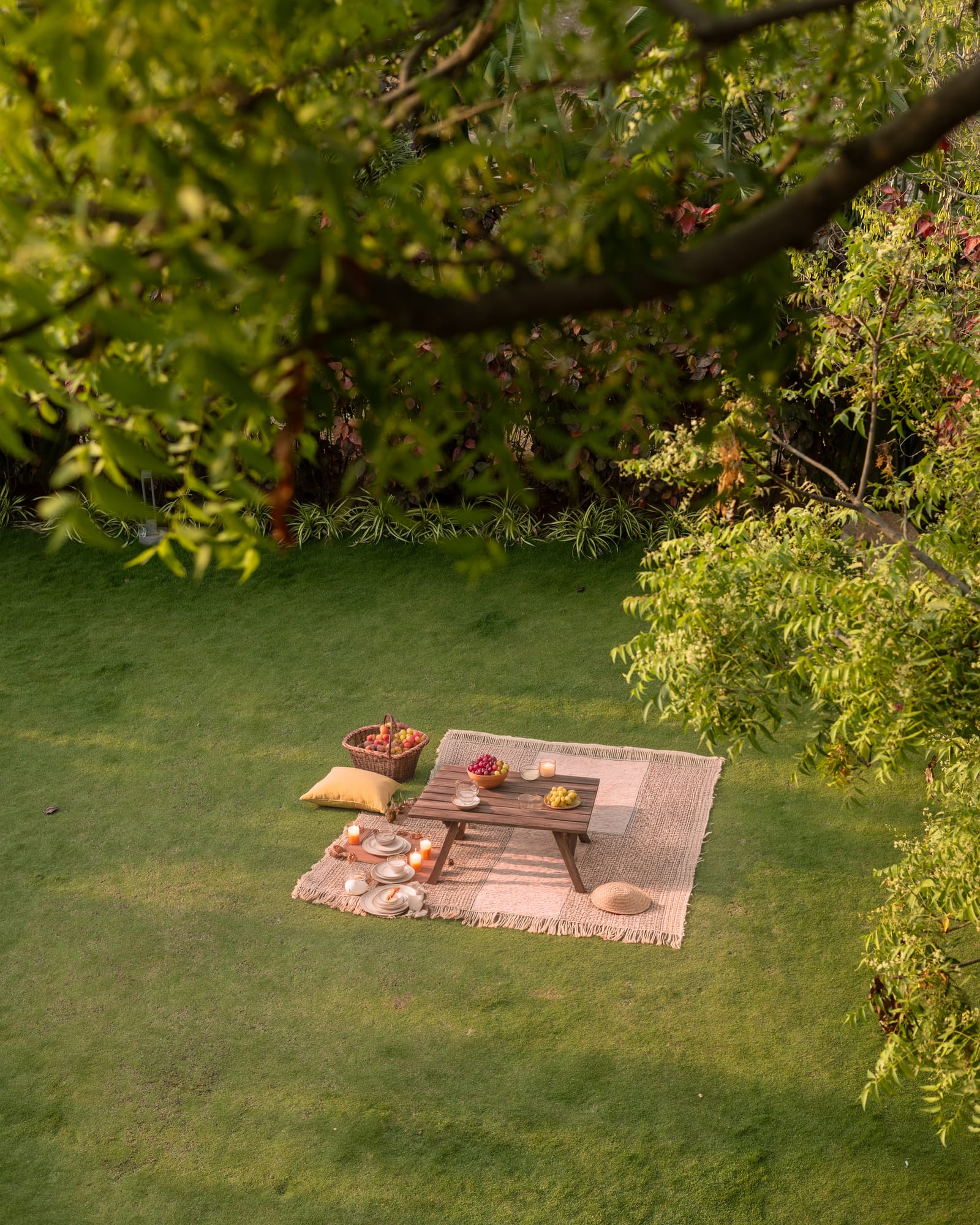 Treetrop, a Fargo Collective treehouse-inspired stay near Hyderabad