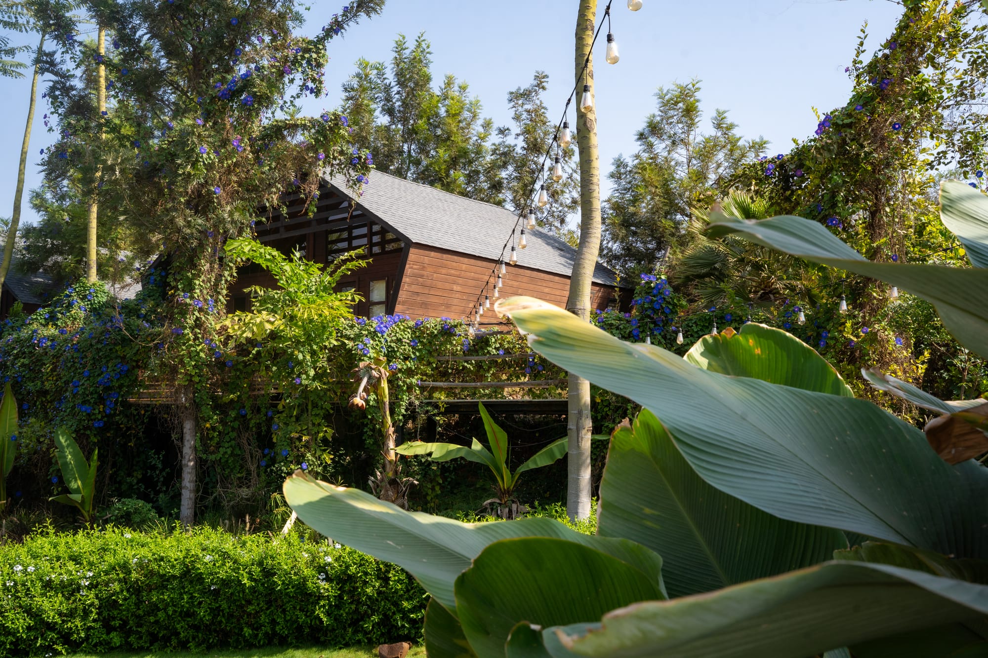 Valley, a Fargo Collective private estate near Hyderabad