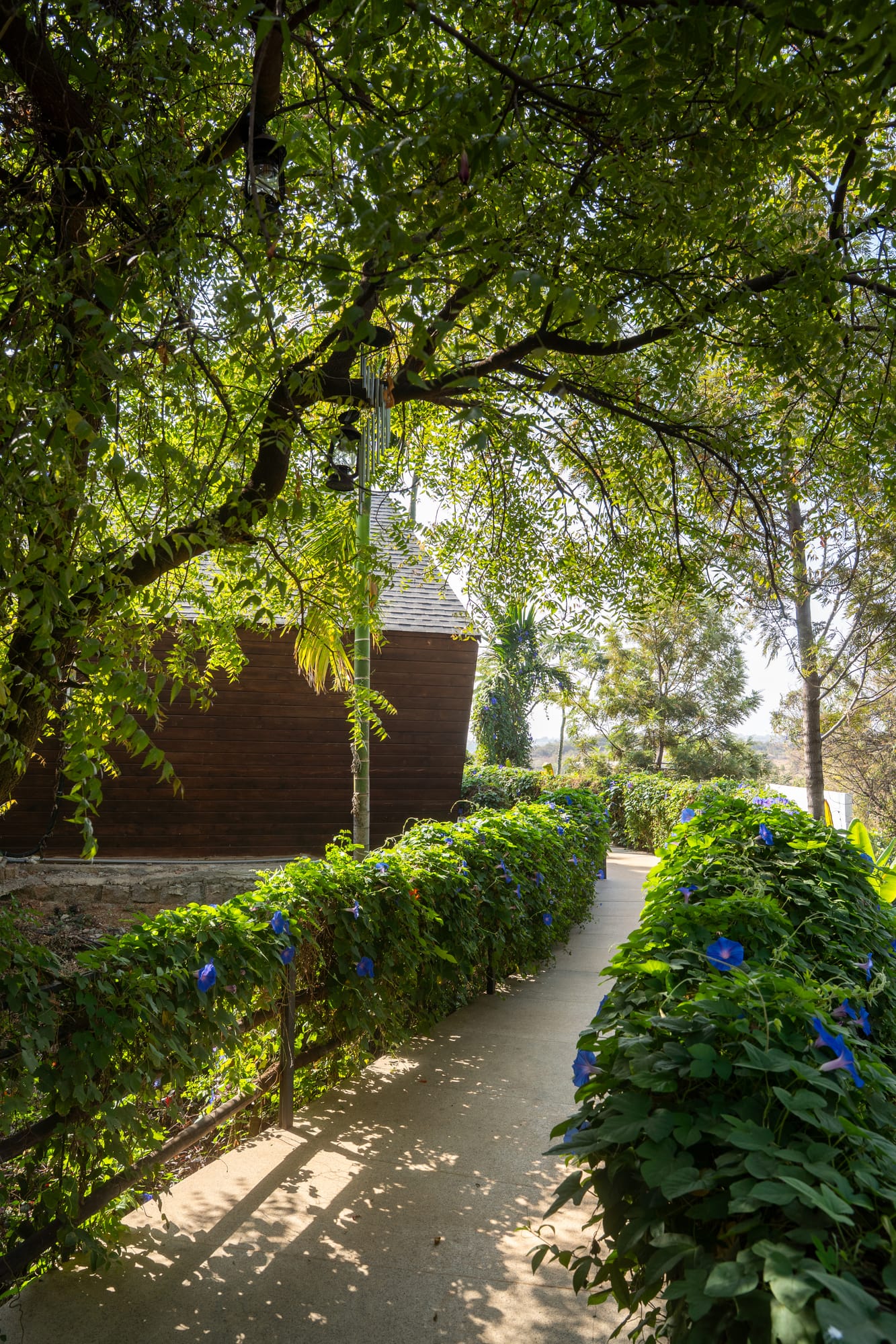 Valley, a Fargo Collective private estate near Hyderabad